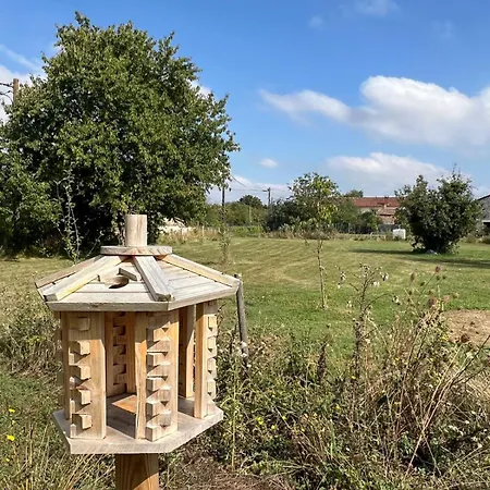 Maison Vigneronne - On A Vineyard, In The Winegrowers *