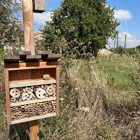 Maison Vigneronne - On A Vineyard, In The Winegrowers Semesterbostad *