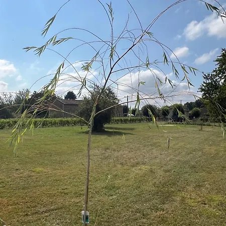 Maison Vigneronne - On A Vineyard, In The Winegrowers *