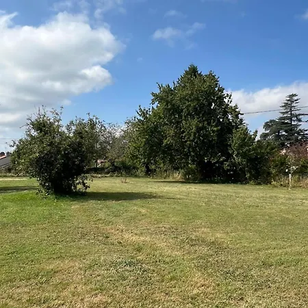 Maison Vigneronne - On A Vineyard, In The Winegrowers Nyaraló