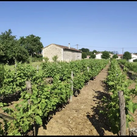 Maison Vigneronne - On A Vineyard, In The Winegrowers Nyaraló Savigne