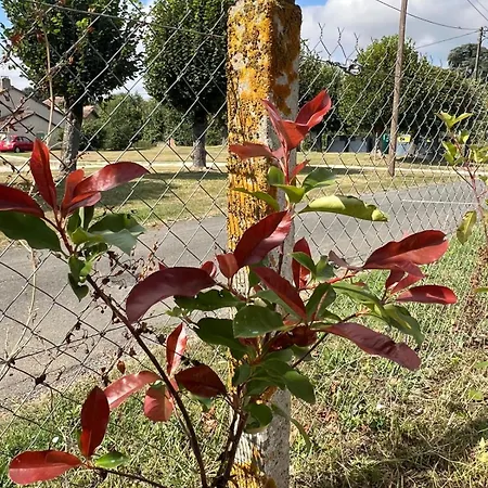 Maison Vigneronne - On A Vineyard, In The Winegrowers *