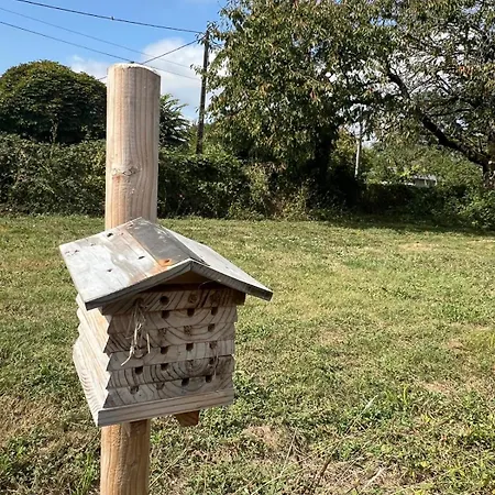 Maison Vigneronne - On A Vineyard, In The Winegrowers