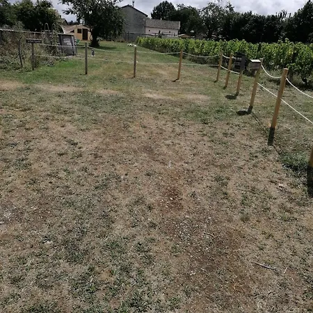 Maison Vigneronne - On A Vineyard, In The Winegrowers בית נופש Savigne