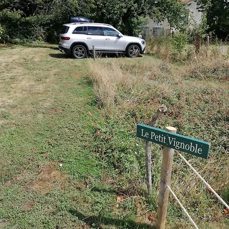 Maison Vigneronne - On A Vineyard, In The Winegrowers * Savigne